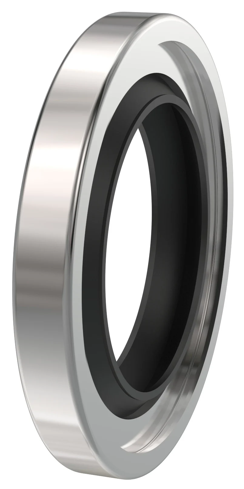 PTFE Lip Seal